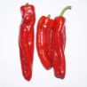 Sweet Pointed Long Peppers (3)