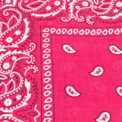 wild pink paisley bandana