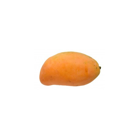 Mango (Hayden) - 1 piece