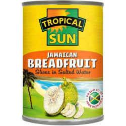 TS Jamaican Breadfruit in...