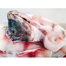 Tilapia Fish Head 1kg