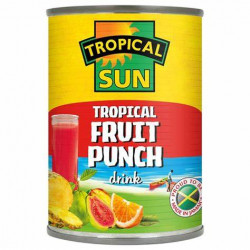 TS Tropical Fruit Punch 540ml