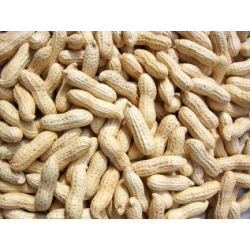 Fresh Peanut/ Ground Nuts 500g