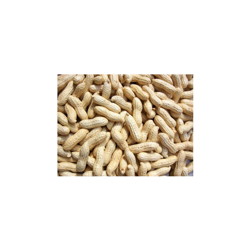 Fresh Peanut/ Ground Nuts 500g