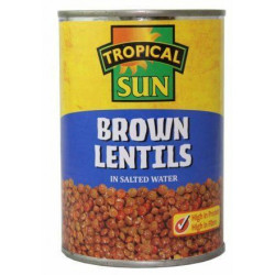 TS Brown Lentils in Salted...