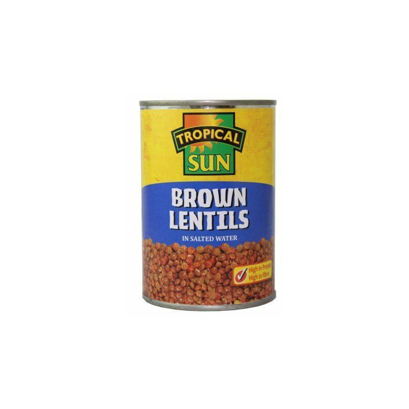 TS Brown Lentils in Salted Water 400g