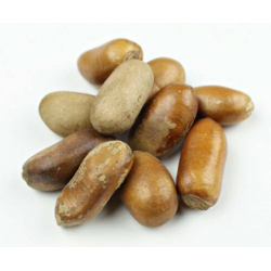 AF Ehuru Seeds (African Nutmeg) Whole 50g