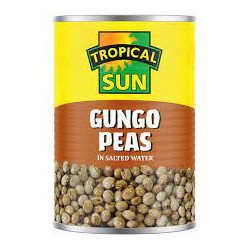Tropical Sun Gungo Peas 400g