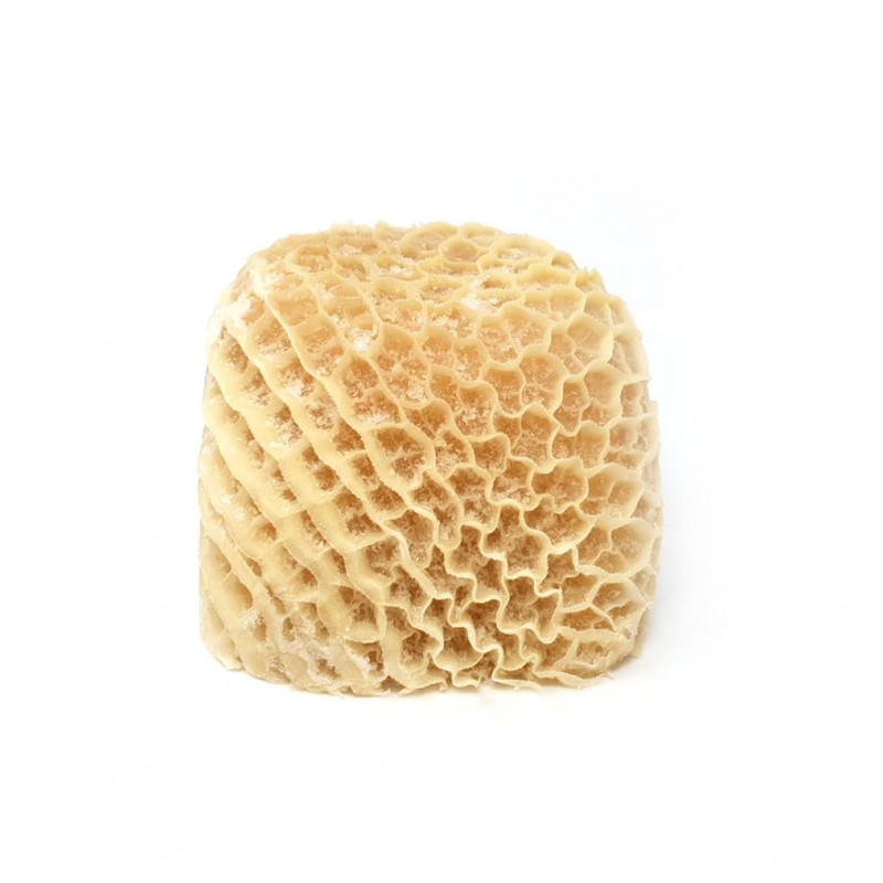 Honeycomb Tripe Shaki