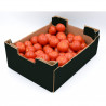 Tomatoes Box