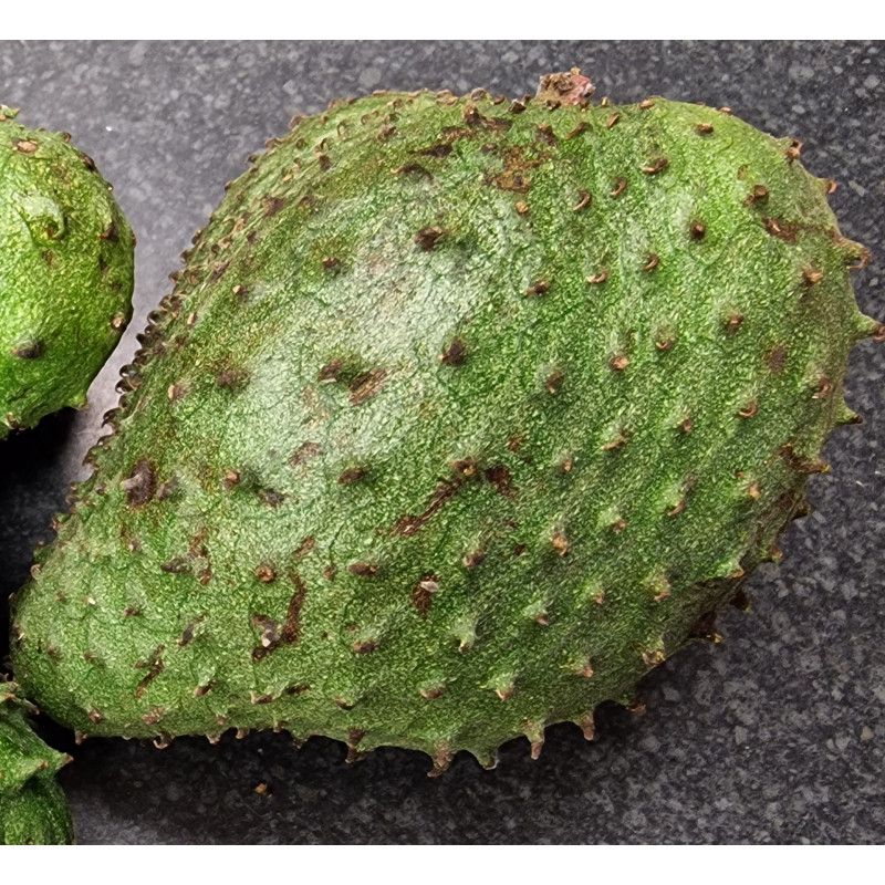 Soursop Fruit Medium 1 piece