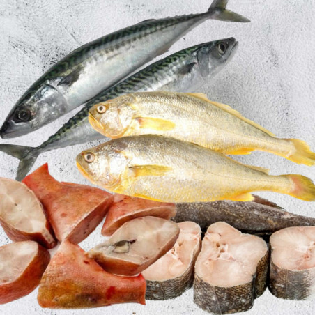 Fisherman Bundle