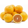 Fresh Oranges Pack