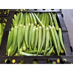 Fresh Okro Box