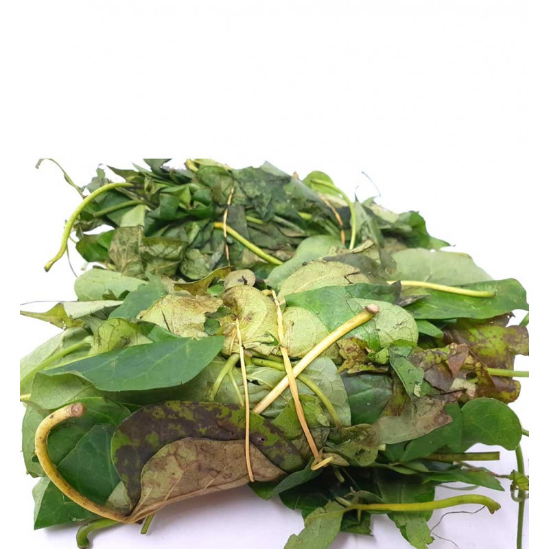 Fresh Utazi bunch